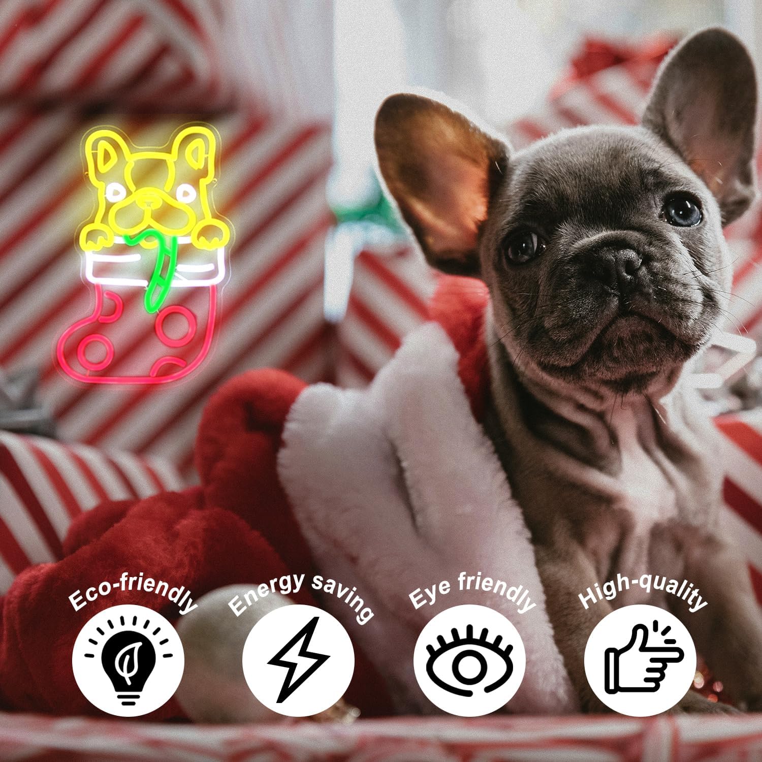 Französische Bulldogge Weihnac – Neon Sign Party Bewertung und Preis